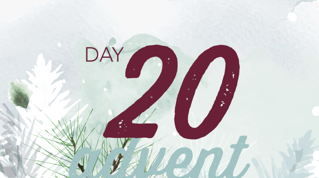 Advent reflection day 20 graphic. Watercolor brush strokes of Christmas tree branches in white and pale green.
